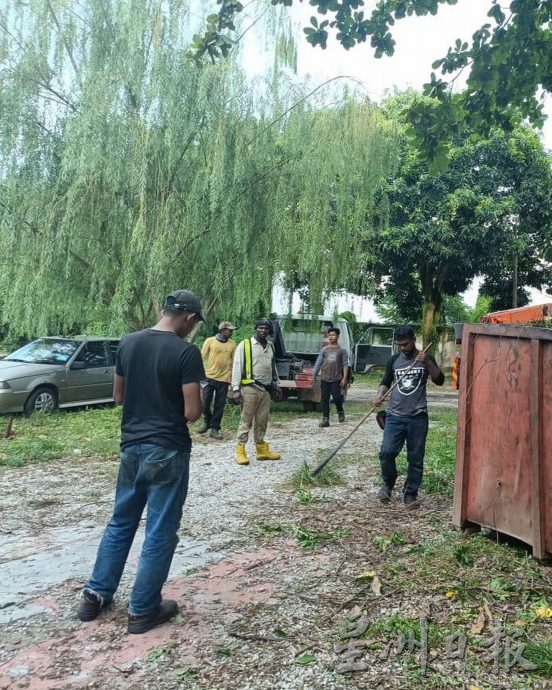 （古城第四版主文）甘榜爪哇压屋树干已被清理