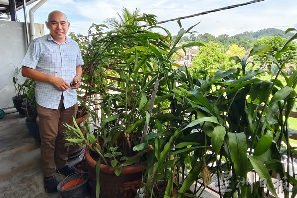 逾百朵昙花同时盛放 梁瑞锦沉醉在“昙花一现”中