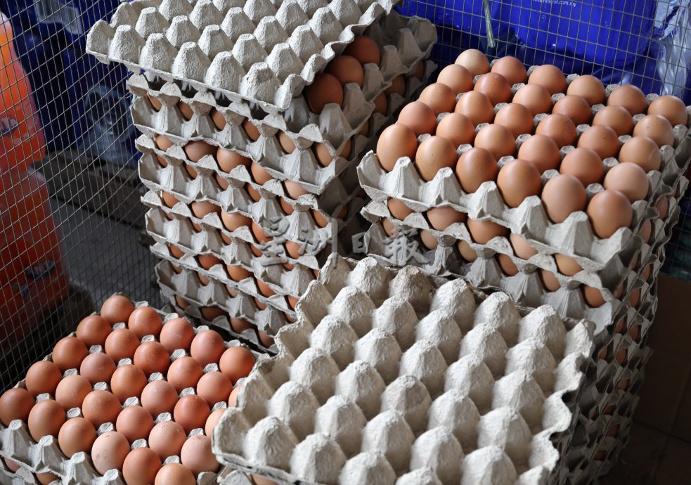 东:已签发/市场上的鸡蛋及鸭蛋销售