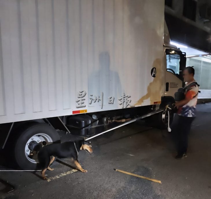 5岁童被狗咬|黑狗已被捉 狗主速现身