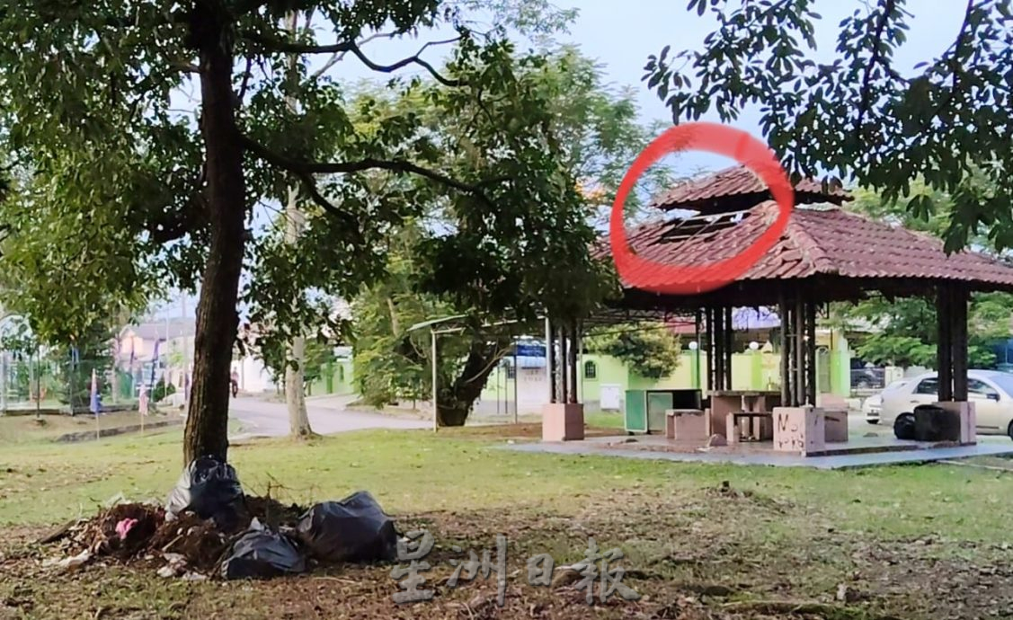 **已签发**柔：第二版头：民生特工队〡邻里公园设施损坏、处处垃圾  张善深：将带入县行动理事会