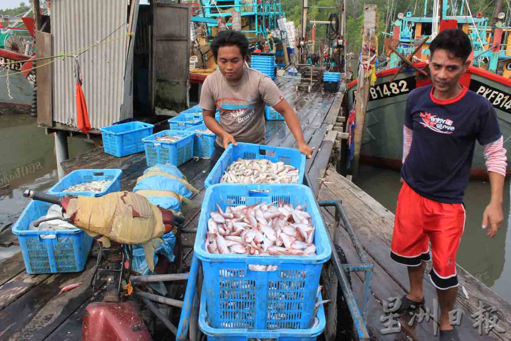 民防部队:9月7至12日大涨潮来袭 做好防潮防水灾准备