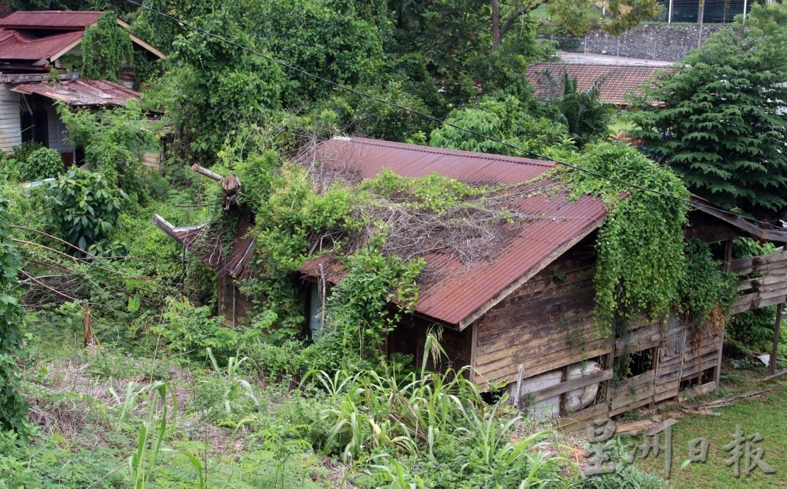 供星洲网/芙拉杭新村66间单位长期荒废,盼屋主清理干净