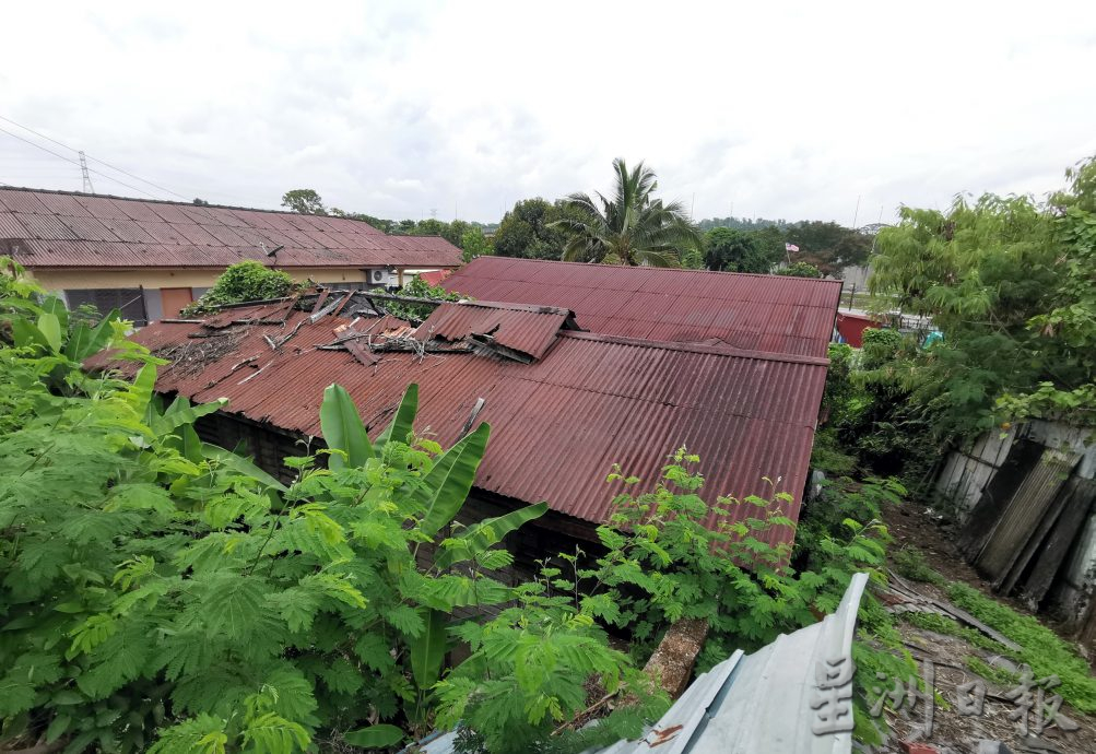 供星洲网/芙拉杭新村66间单位长期荒废,盼屋主清理干净