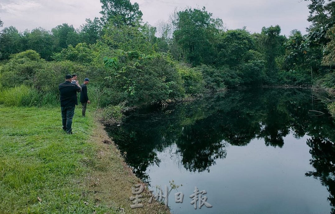  （古城第三版主文）“忘不了”“苏丹鱼”遭废水污染死亡·鱼塘与果树毁于一夜 