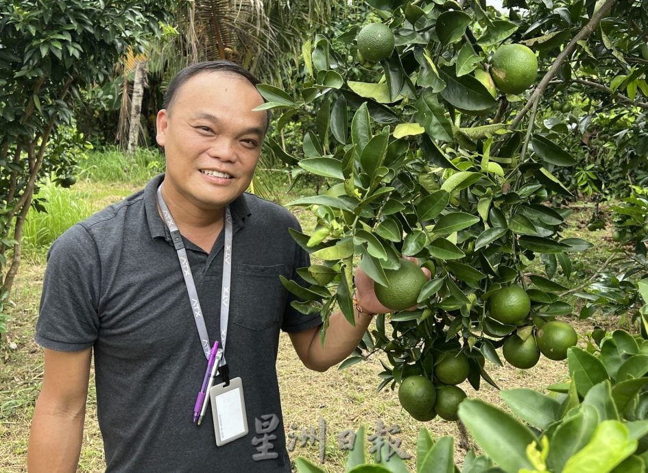  （古城第三版主文）“忘不了”“苏丹鱼”遭废水污染死亡·鱼塘与果树毁于一夜 