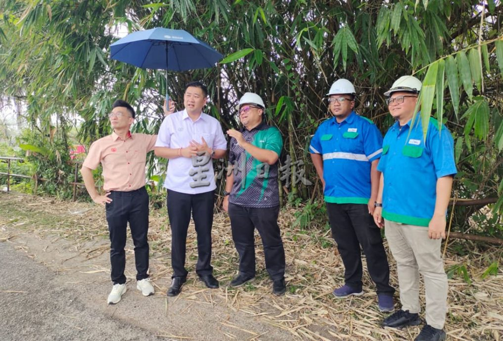 （大北马）野树长在防崩墙上危及墙下的住家，黄佳祯前往了解促英达丽水速解决