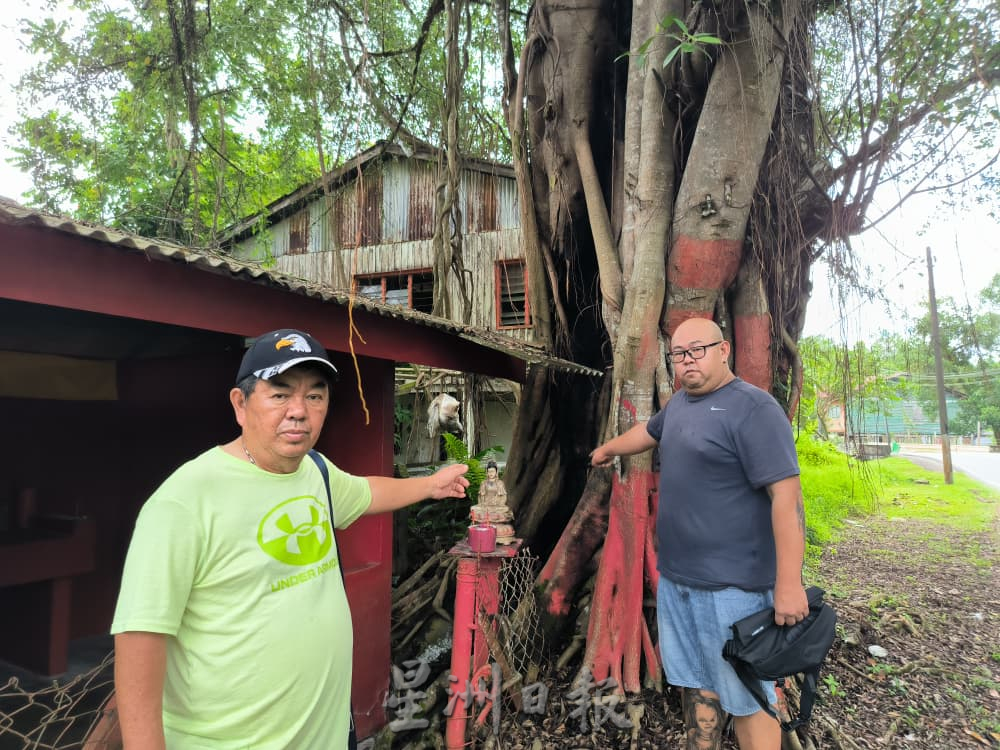 30年老树已被用来烧金银纸   村民忧空心树倒塌威胁民宅