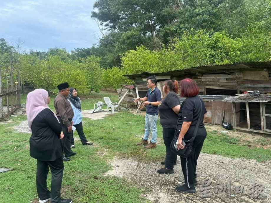 盼将流浪犬认领延至30天 怡市厅拟建中途收容所