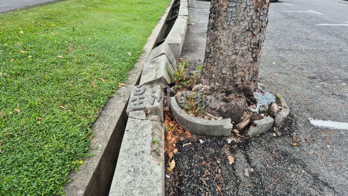 (古城第8版主文)沟壁倒塌投诉1年无下文