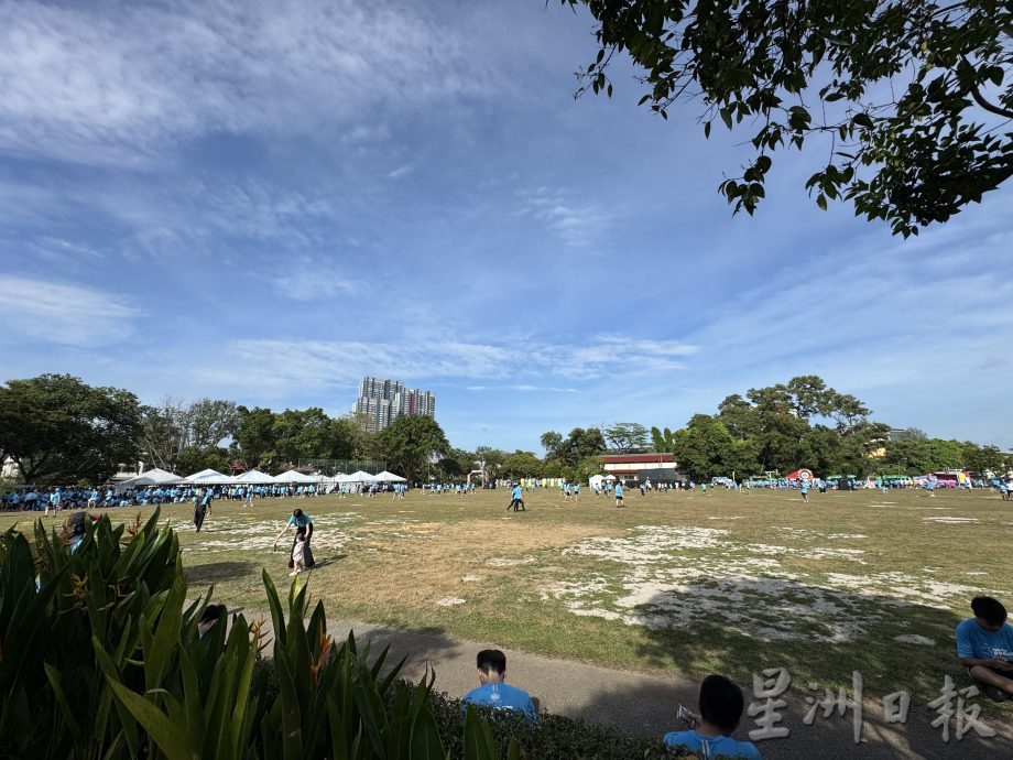 大都会/巴生良木园大草场或提升为池田和平大草场／8图