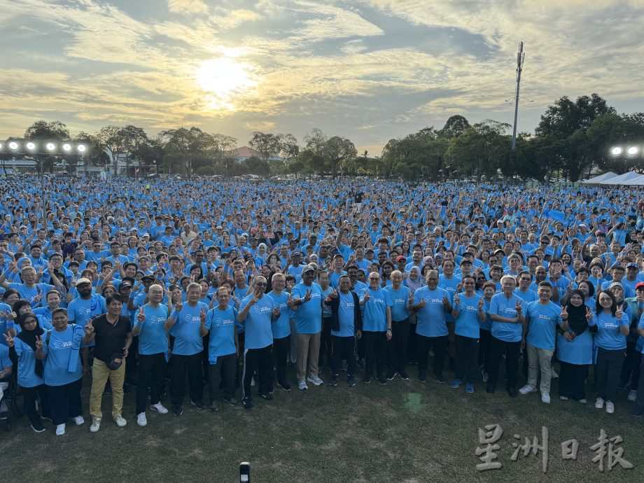 大都会/巴生良木园大草场或提升为池田和平大草场／8图