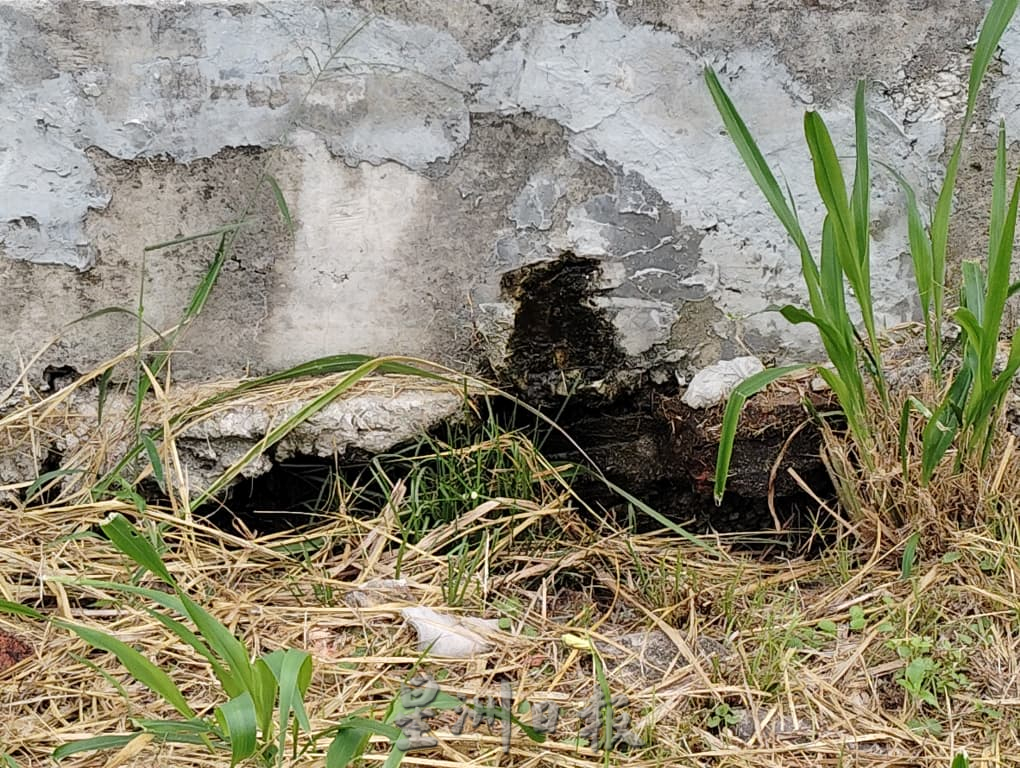 垃圾无处清排水无处流 勤德学校盼当局正视多重问题