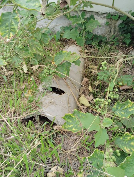 垃圾无处清排水无处流 勤德学校盼当局正视多重问题