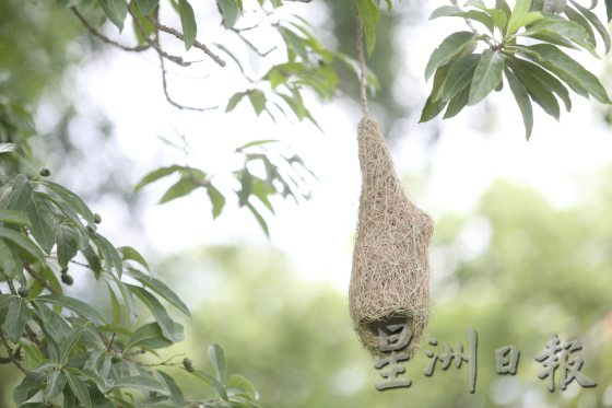 【守护义山／01】碑石如页，义山如书，福建义山申遗，续写未完史书