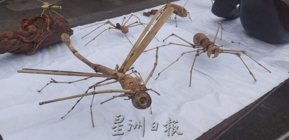 柔：版头：特稿：创艺妙用竹树，仿制昆虫引众瞩目