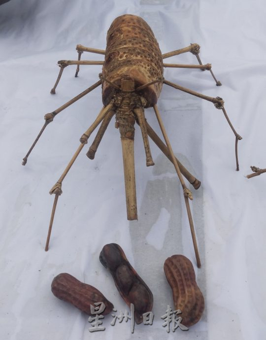 柔：版头：特稿：创艺妙用竹树，仿制昆虫引众瞩目