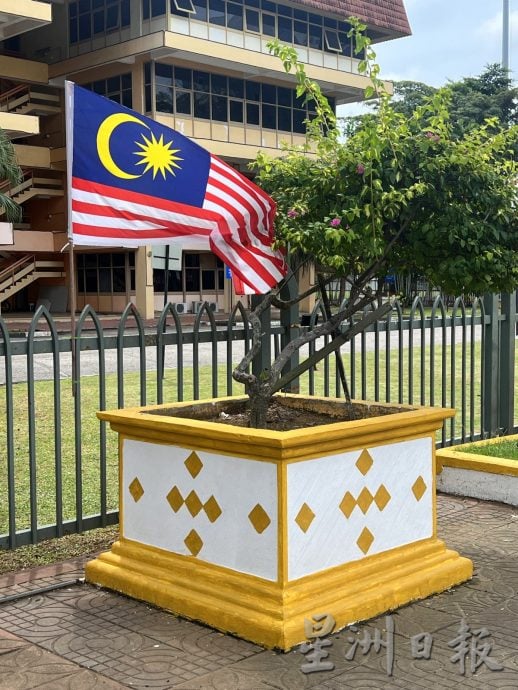 (古城封面主文)黄白相间花盆添生气·汉都亚路市容展迎宾风采