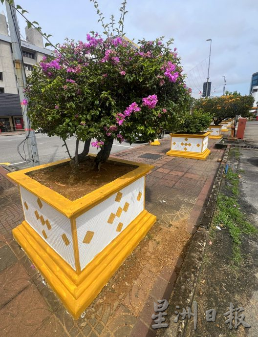 (古城封面主文)黄白相间花盆添生气·汉都亚路市容展迎宾风采