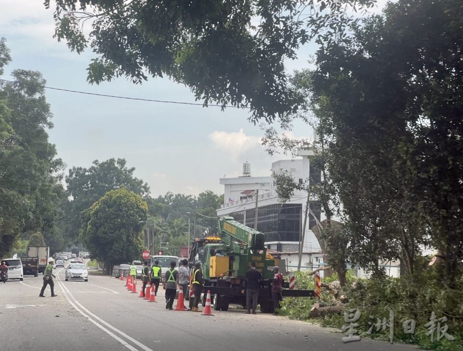 (古城第二版主文)双溪布达砍树