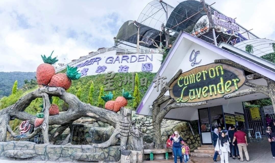 东:(已签发)学校假期适逢非榴梿季节及鬼月,劳勿酒店民宿预订热不起