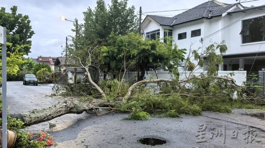 （古城版）阿依沙叻花园树倒