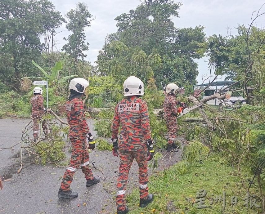 （古城版）阿依沙叻花园树倒