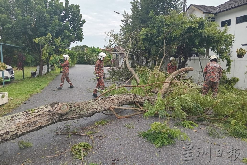 （古城版）阿依沙叻花园树倒