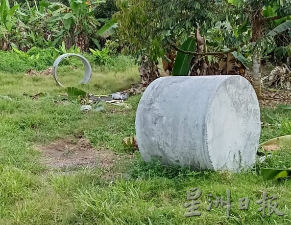 已签发 柔:版二头野象结群入侵,彼咯40段园芭遭殃