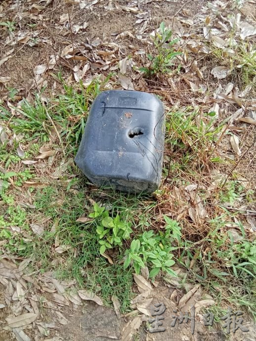 已签发 柔:版二头野象结群入侵,彼咯40段园芭遭殃