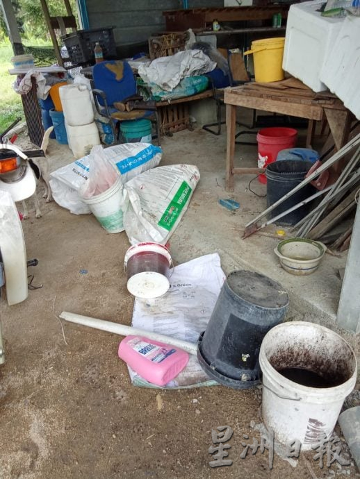 已签发 柔:版二头野象结群入侵,彼咯40段园芭遭殃