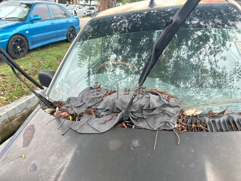 (古城版)柏灵玉再也废车问题趋严重 雷宝翔促移走免接罚单