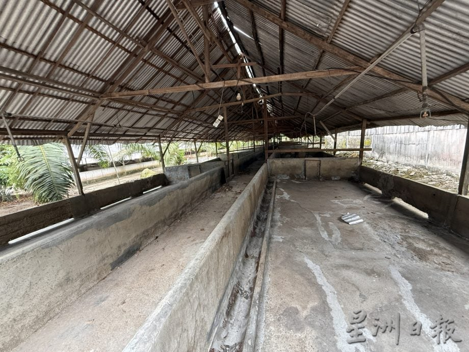 巴也明光猪农停业近4年·邱培栋呼把握契机重振养猪业