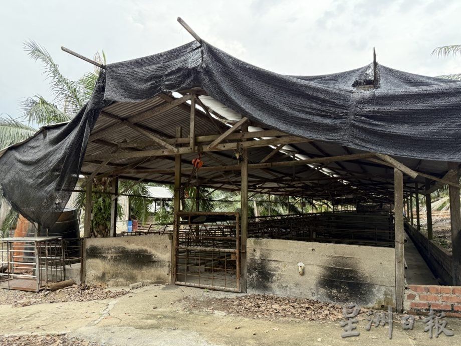 巴也明光猪农停业近4年·邱培栋呼把握契机重振养猪业