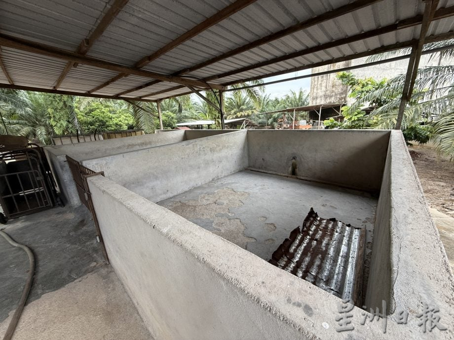 巴也明光猪农停业近4年·邱培栋呼把握契机重振养猪业