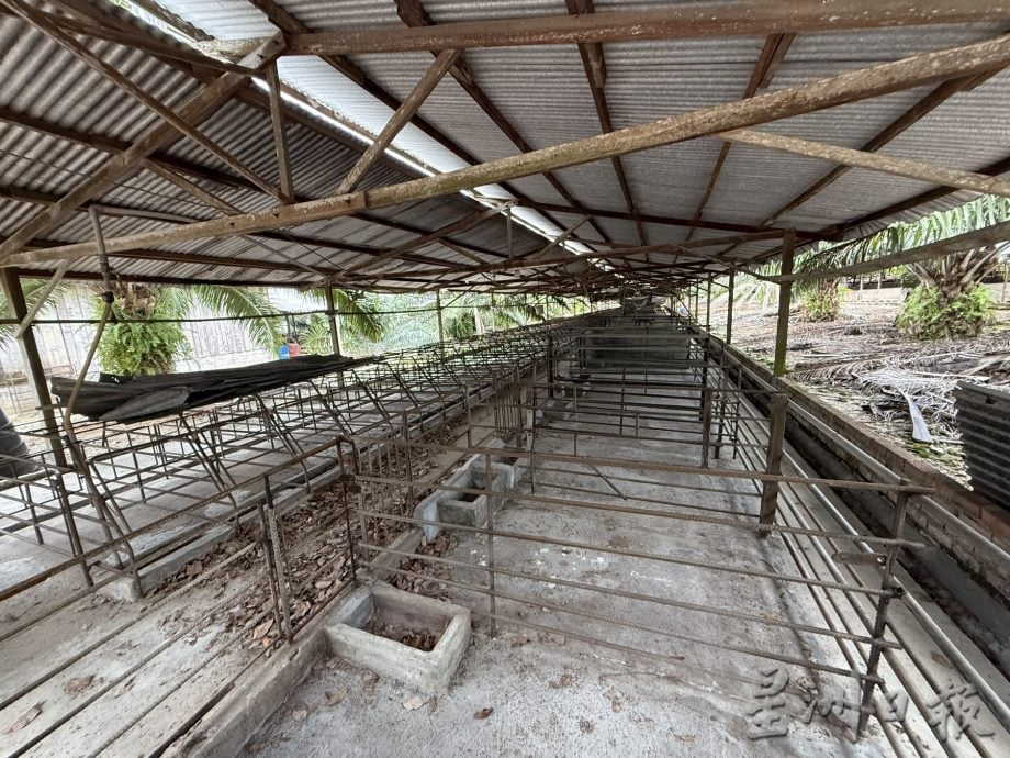 巴也明光猪农停业近4年·邱培栋呼把握契机重振养猪业