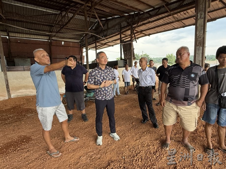 巴也明光猪农停业近4年·邱培栋呼把握契机重振养猪业