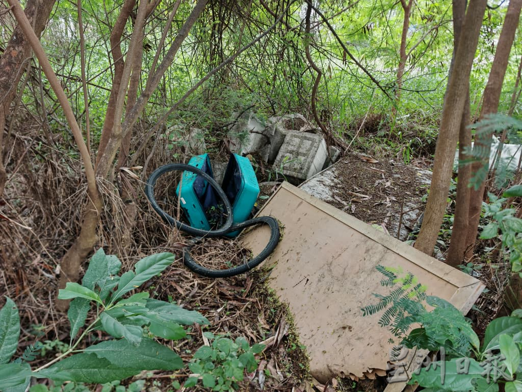 （古城版）空地为清理沦为垃圾场，商家见蟒蛇提心吊胆