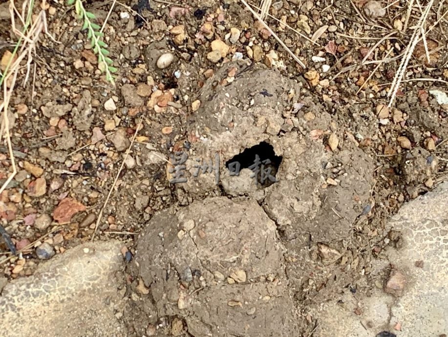 波德申海边教堂屡遭水患 大潮一来即变“水乡”危机四伏