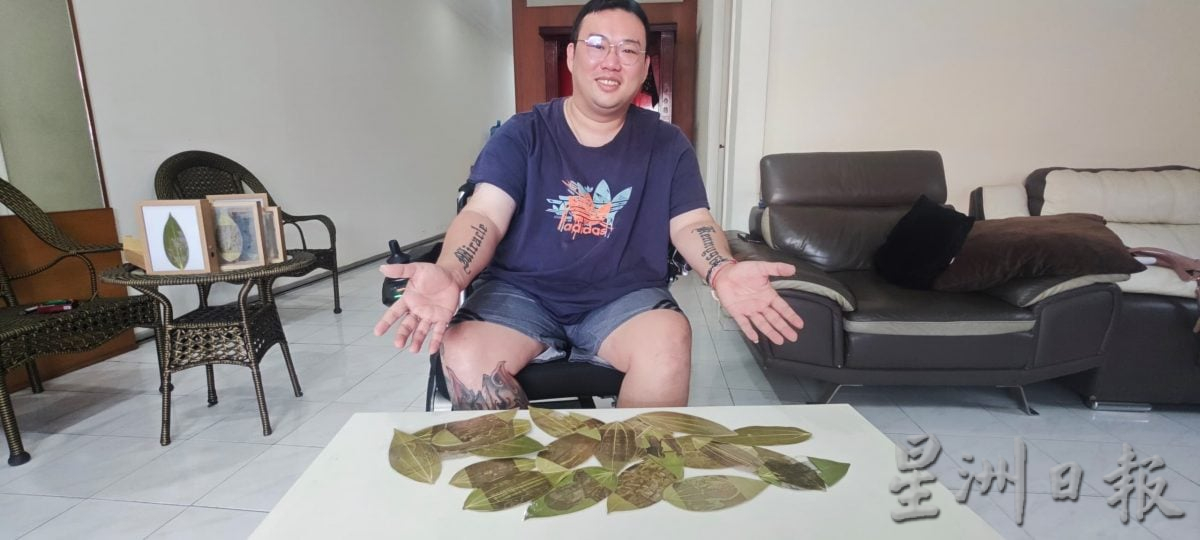 全国:暖势力(尽快刊出):陈颖纬的叶雕人生