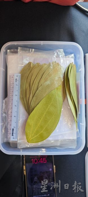 全国:暖势力(尽快刊出):陈颖纬的叶雕人生