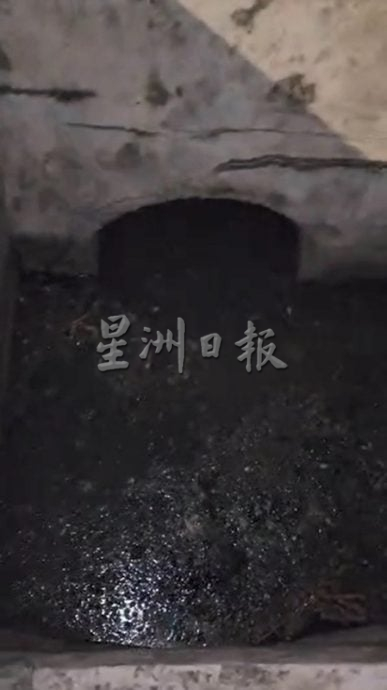供星洲网：新那旺Marida花园排水沟结构异常 沟渠堵塞发臭滋蚊虫
