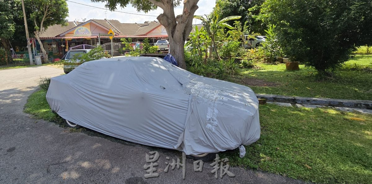 花园草场堆积杂物包括废弃摩托车 恐养蚊