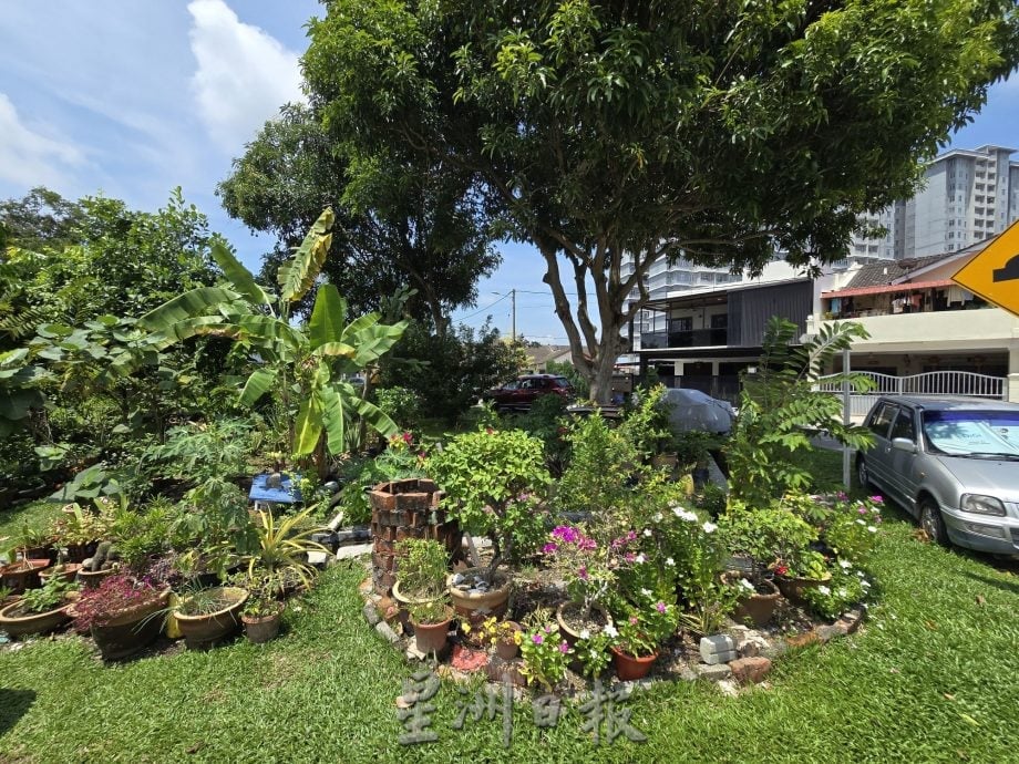 花园草场堆积杂物包括废弃摩托车 恐养蚊