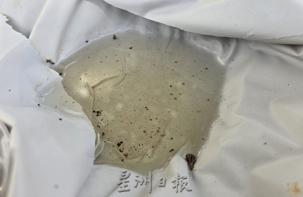 花园草场堆积杂物包括废弃摩托车 恐养蚊