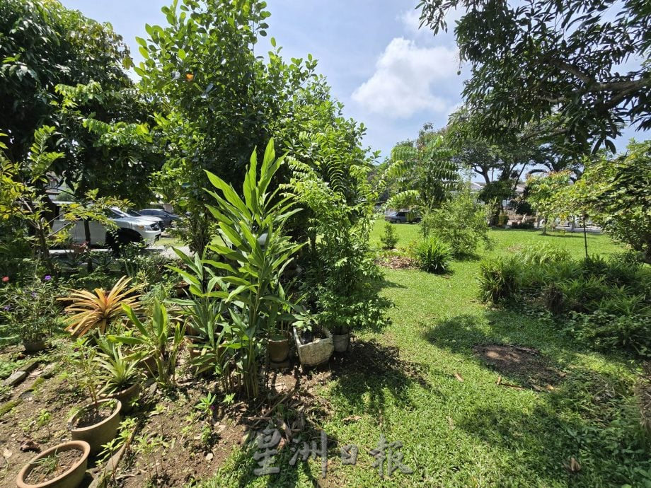 花园草场堆积杂物包括废弃摩托车 恐养蚊