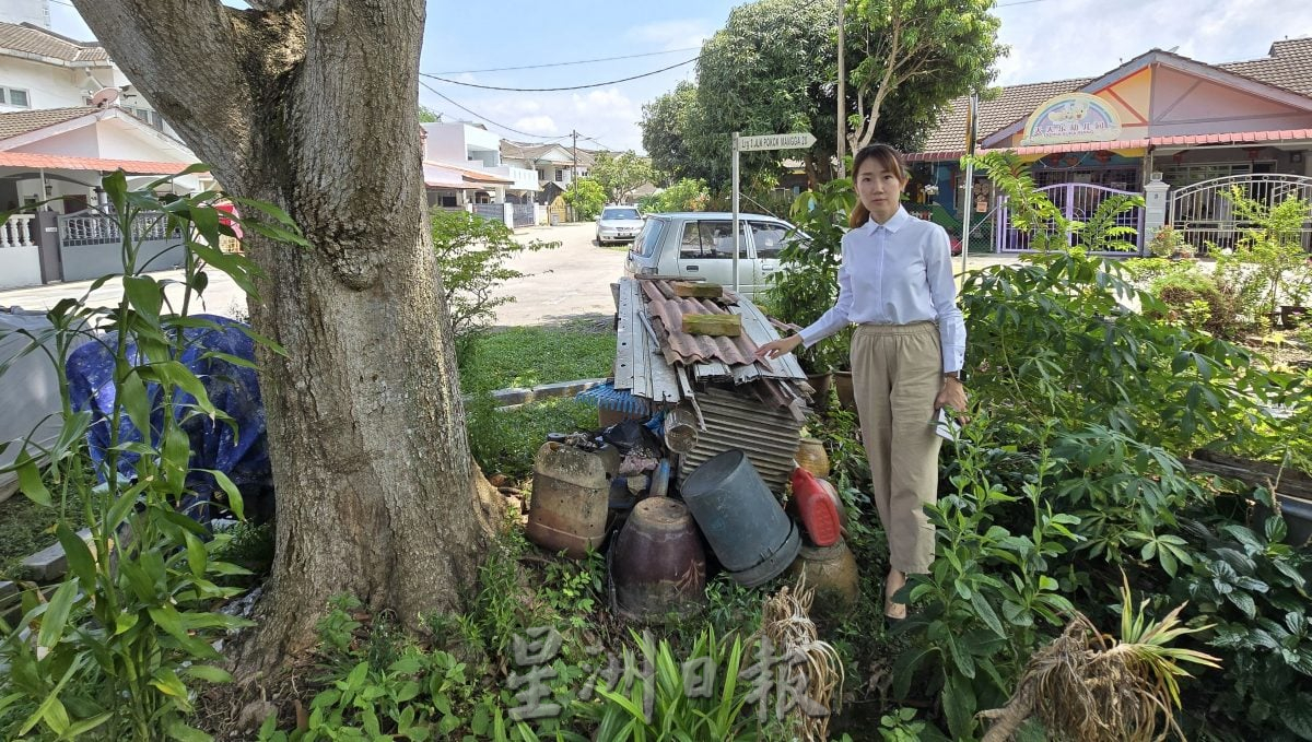 花园草场堆积杂物包括废弃摩托车 恐养蚊