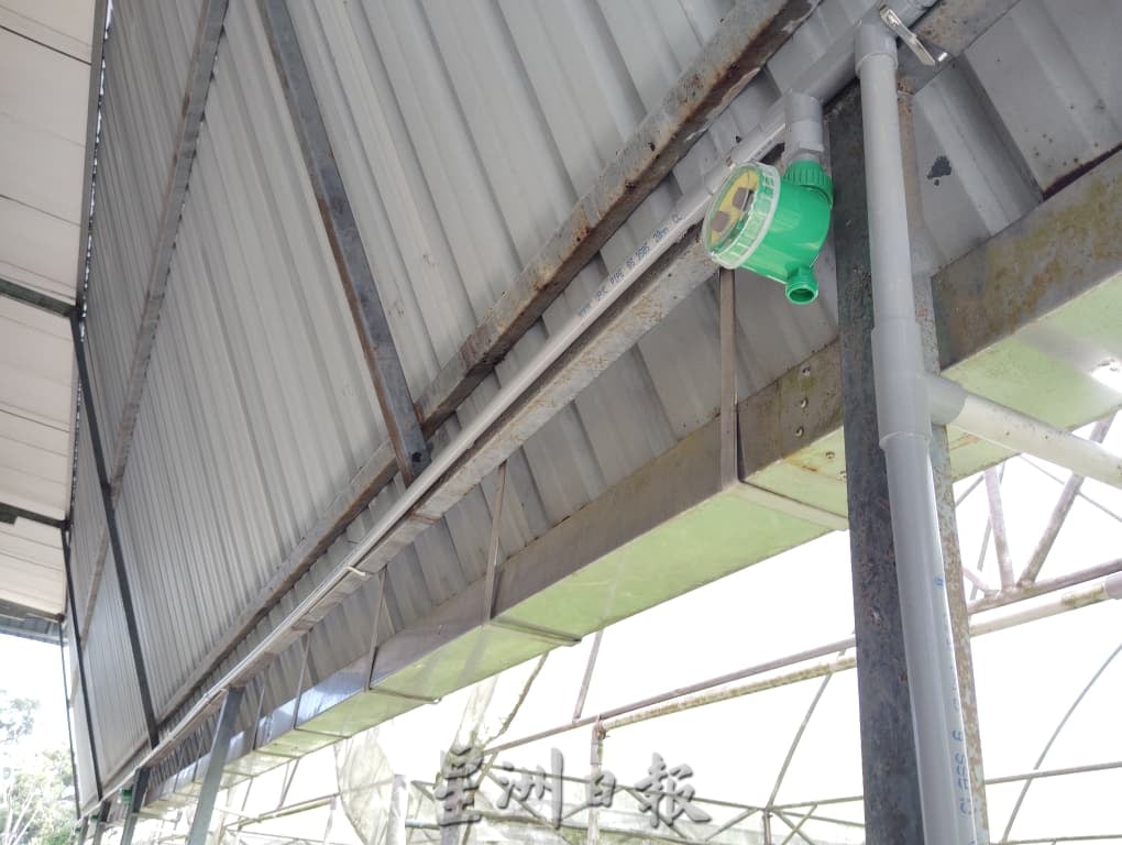 利丰港紫光阁重整草药园 盼继续守护社区健康