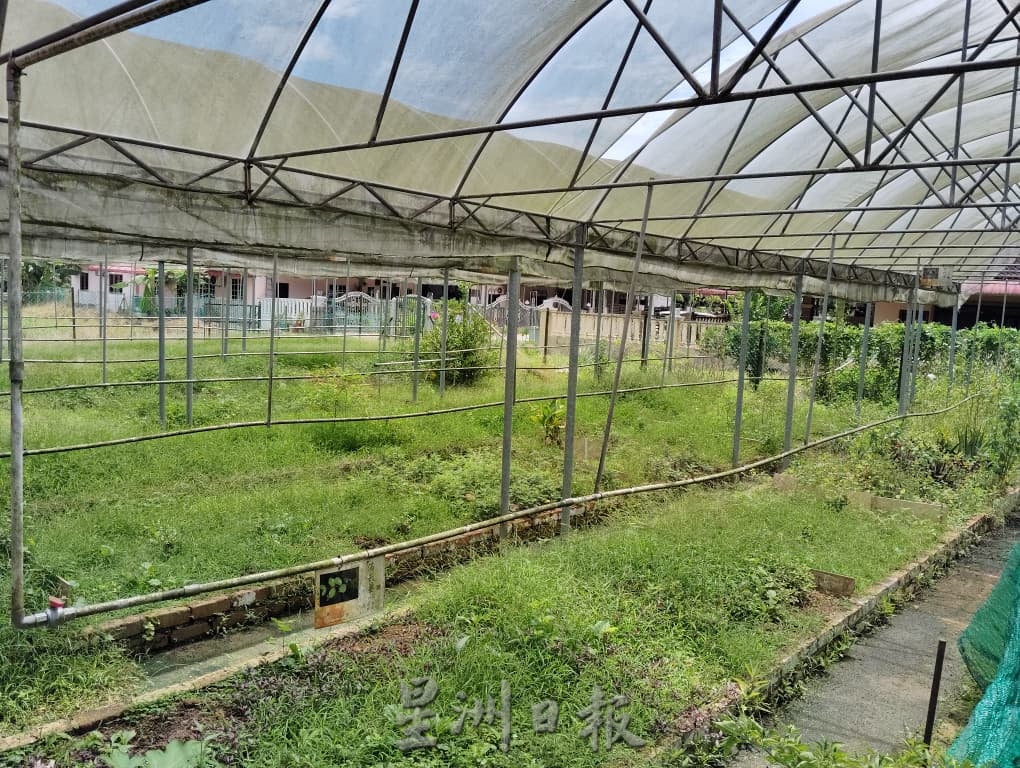 利丰港紫光阁重整草药园 盼继续守护社区健康