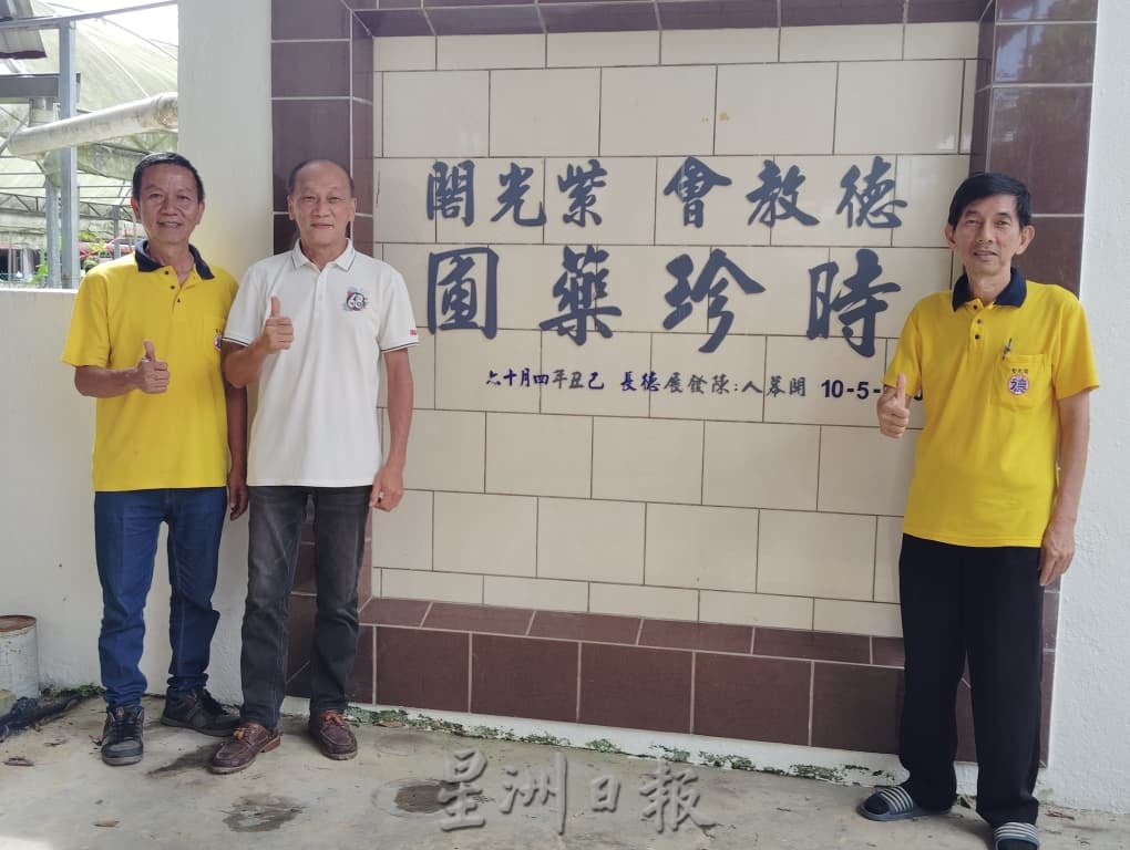 利丰港紫光阁重整草药园 盼继续守护社区健康